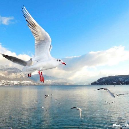 Lake Home آنسي المظهر الخارجي الصورة